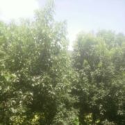 【求职】本人男37,想找本人求职驾驶员c1工资