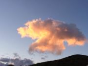 黄龙体育馆停车收费吗