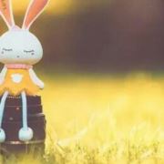 【求职】本人男37,想找本人求职驾驶员c1工资